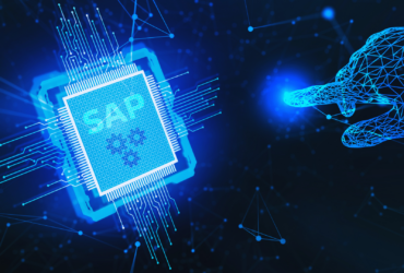 SAP Consultation