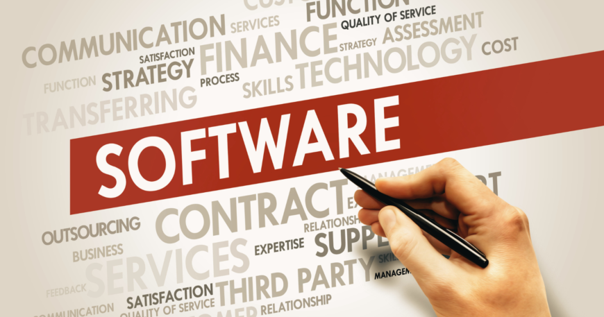 Software Consulting